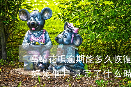 螞蟻花唄逾期能多久恢復(fù)(花唄逾期好幾個月還完了什么時候恢復(fù)正常)