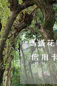 螞蟻花唄逾期能辦信用卡么(花唄逾期不能辦信用卡)