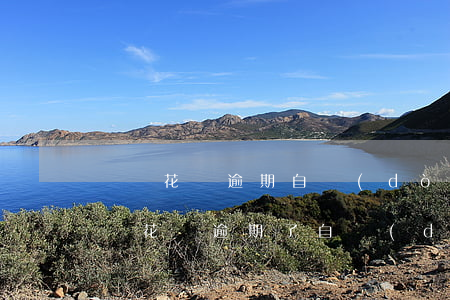 螞蟻花唄逾期自動(dòng)還款嗎(支付寶花唄逾期了自動(dòng)扣款)
