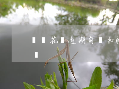 螞蟻花唄逾期自動扣款嗎(花唄還款自動扣款嗎)
