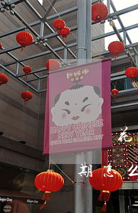 螞蟻花唄逾期螞蟻借唄嗎(如果支付寶借唄逾期怎么辦?)