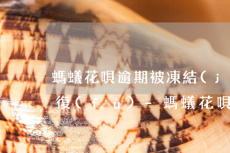 螞蟻花唄逾期被凍結(jié)額度怎么恢復(fù)-螞蟻花唄逾期被凍結(jié)額度怎么恢復(fù)正常
