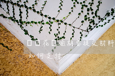 螞蟻花唄逾期要提交材料(花唄逾期了淘寶還如何支付)