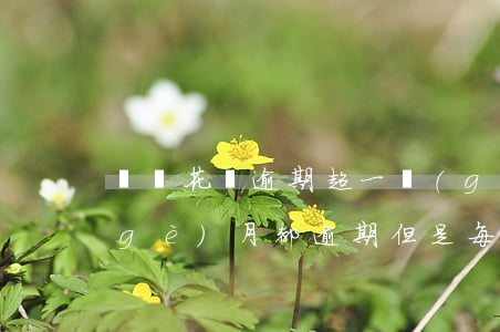 螞蟻花唄逾期超一個(gè)月(花唄每個(gè)月都逾期 但是每個(gè)月都還款)