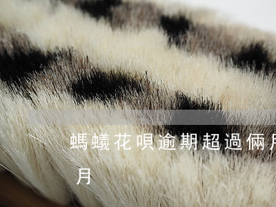 螞蟻花唄逾期超過倆月(螞蟻花唄逾期超過倆月)