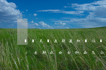 螞蟻花唄逾期通知單位(螞蟻花唄欠款3000逾期收到告知函怎么辦)