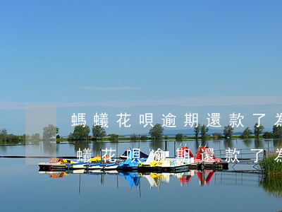螞蟻花唄逾期還款了為什么還是不能用-螞蟻花唄逾期還款了為什么還是不能用了