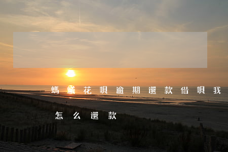 螞蟻花唄逾期還款借唄(我的支付寶花唄逾期怎么還款)