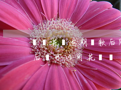 螞蟻花唄逾期還款后用不(支付寶逾期還了以后,還可以用花唄嗎)