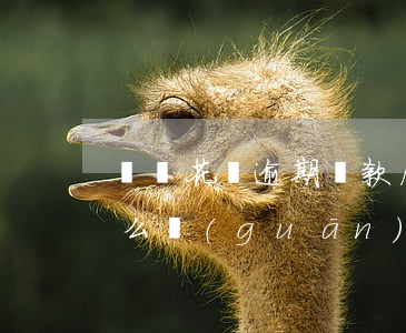 螞蟻花唄逾期還款后(螞蟻花唄逾期還款后怎么關(guān)閉)