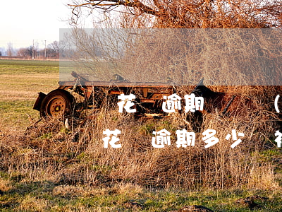 螞蟻花唄逾期還讓發(fā)律師函么(支付寶花唄逾期多少會被發(fā)律師函)