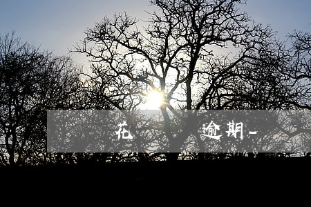 螞蟻花唄還錢逾期-螞蟻花唄還錢逾期