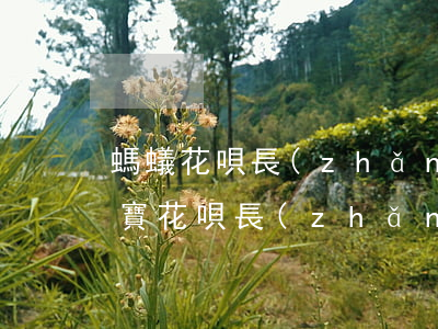 螞蟻花唄長(zhǎng)期逾期后果(支付寶花唄長(zhǎng)時(shí)間逾期有什么影響)