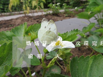 螞蟻花逾期一次還完后能降額度嗎-螞蟻花逾期一天