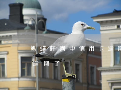 螞蟻莊園中信用卡逾期了 螞蟻莊園中信用卡逾期了