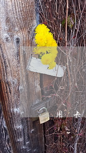 螞蟻莊園問題信用卡逾期了(螞蟻莊園問題信用卡逾期了)