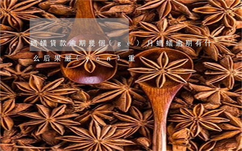 螞蟻貸款逾期幾個(gè)月(螞蟻逾期有什么后果嚴(yán)重)
