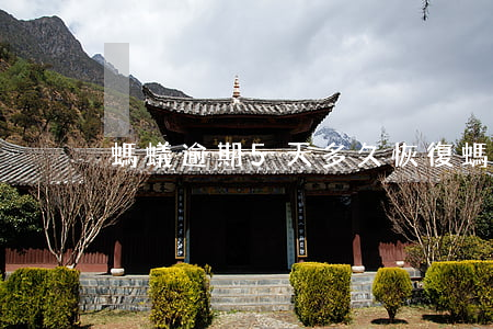 螞蟻逾期5天多久恢復(螞蟻金融逾期半年)