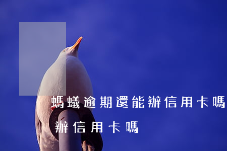 螞蟻逾期還能辦信用卡嗎(信用卡逾期了還能辦信用卡嗎)