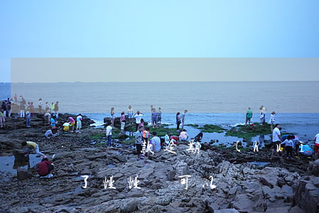 螞蟻還款逾期會(huì)怎么樣(螞蟻逾期了慢慢還可以嗎)