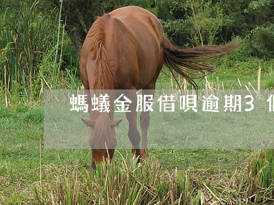 螞蟻金服借唄逾期3個月