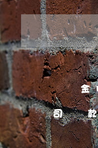 螞蟻金服公司貸款逾期(螞蟻金服股份有限公司貸款)