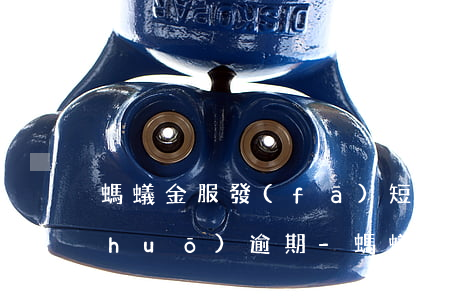 螞蟻金服發(fā)短信給親朋好友說(shuō)逾期-螞蟻金服發(fā)短信給親朋好友說(shuō)逾期是真的嗎