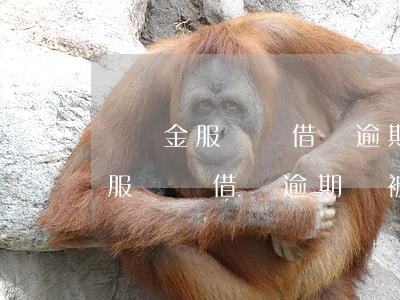 螞蟻金服約談借唄逾期會被起訴嗎-螞蟻金服約談借唄逾期會被起訴嗎是真的嗎