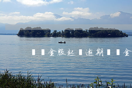 螞蟻金服起訴逾期(螞蟻金服訴前通告)