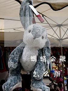 螞蟻金融貸款逾期未還(螞蟻金服貸款還不上怎么辦)