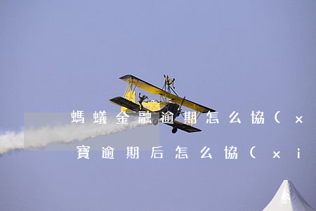 螞蟻金融逾期怎么協(xié)商還款(支付寶逾期后怎么協(xié)商)