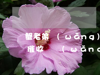 蟹老弟網(wǎng)貸會(huì)上門催收嗎(網(wǎng)貸逾期真的會(huì)上門催收嗎)