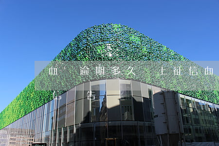 血債逾期多久會上征信 血債逾期多久會上征信報告