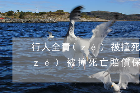 行人全責(zé)被撞死亡賠償(行人全責(zé)被撞死亡賠償保險(xiǎn)公司賠付嗎)