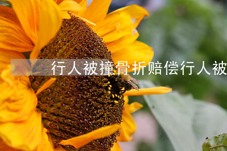 行人被撞骨折赔偿(行人被撞骨折赔偿)