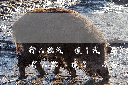 行人被汽車撞了汽車全責(zé)如何賠償，行人被車撞了對方全責(zé)怎么賠償