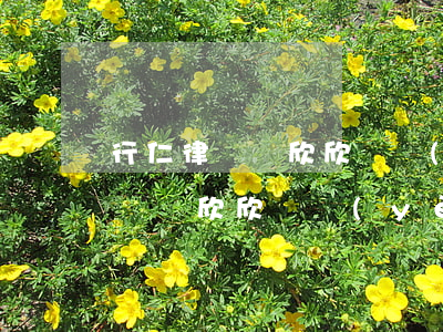 行仁律師鄭欣欣專業(yè)怎么樣(行仁律師鄭欣欣專業(yè)怎么樣)