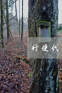 行使代位权怎么确定诉讼标的