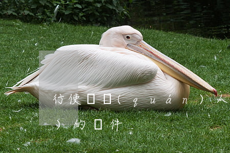 行使債權(quán)人撤銷權(quán)的條件