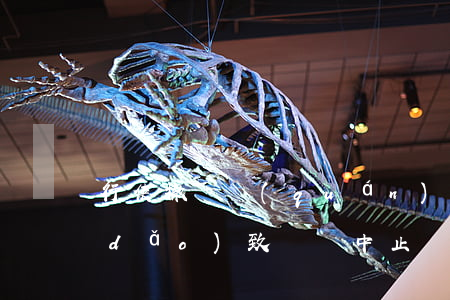 行使撤銷權(quán)會(huì)導(dǎo)致訴訟中止嗎