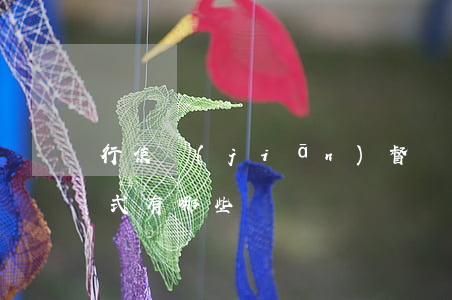 行使監(jiān)督權(quán)的方式有哪些