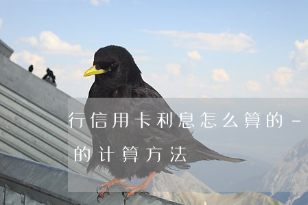 行信用卡利息怎么算的-信用卡利息怎么算的计算方法
