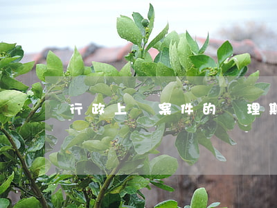 行政上訴案件的審理期限