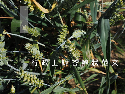 行政上訴答辨狀范文