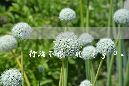 行政不作為的構(gòu)成要件