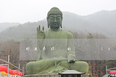行政不作為的賠償責(zé)任