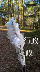 行政不作為訴訟可以調(diào)解嗎(行政訴訟為什么不能調(diào)解)