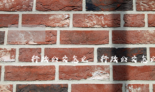 行政公文怎么寫(行政公文怎么寫)