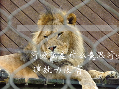 行政函是什么意思(行政函是什么意思?具备法律效力没有?)