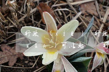 行政協(xié)議行政機(jī)關(guān)可以起訴嗎(行政協(xié)議可以提起行政訴訟嗎?)